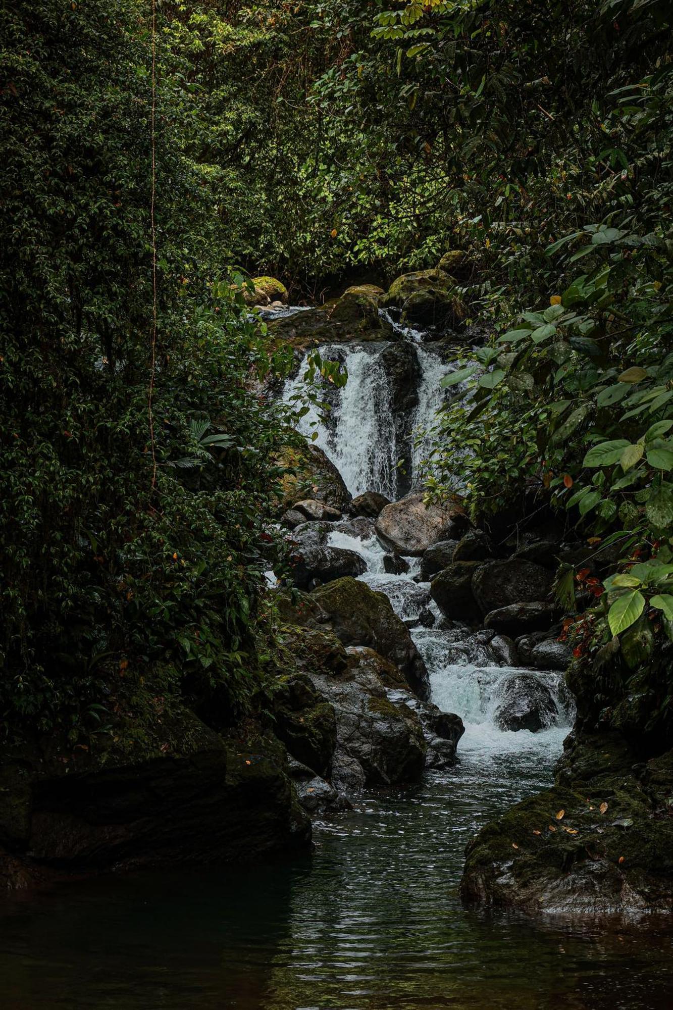 Santa Juana Lodge & Nature Reserve كيبوس المظهر الخارجي الصورة